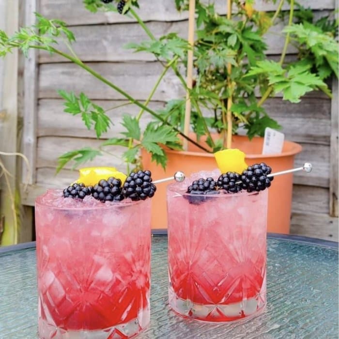 Recipe cover